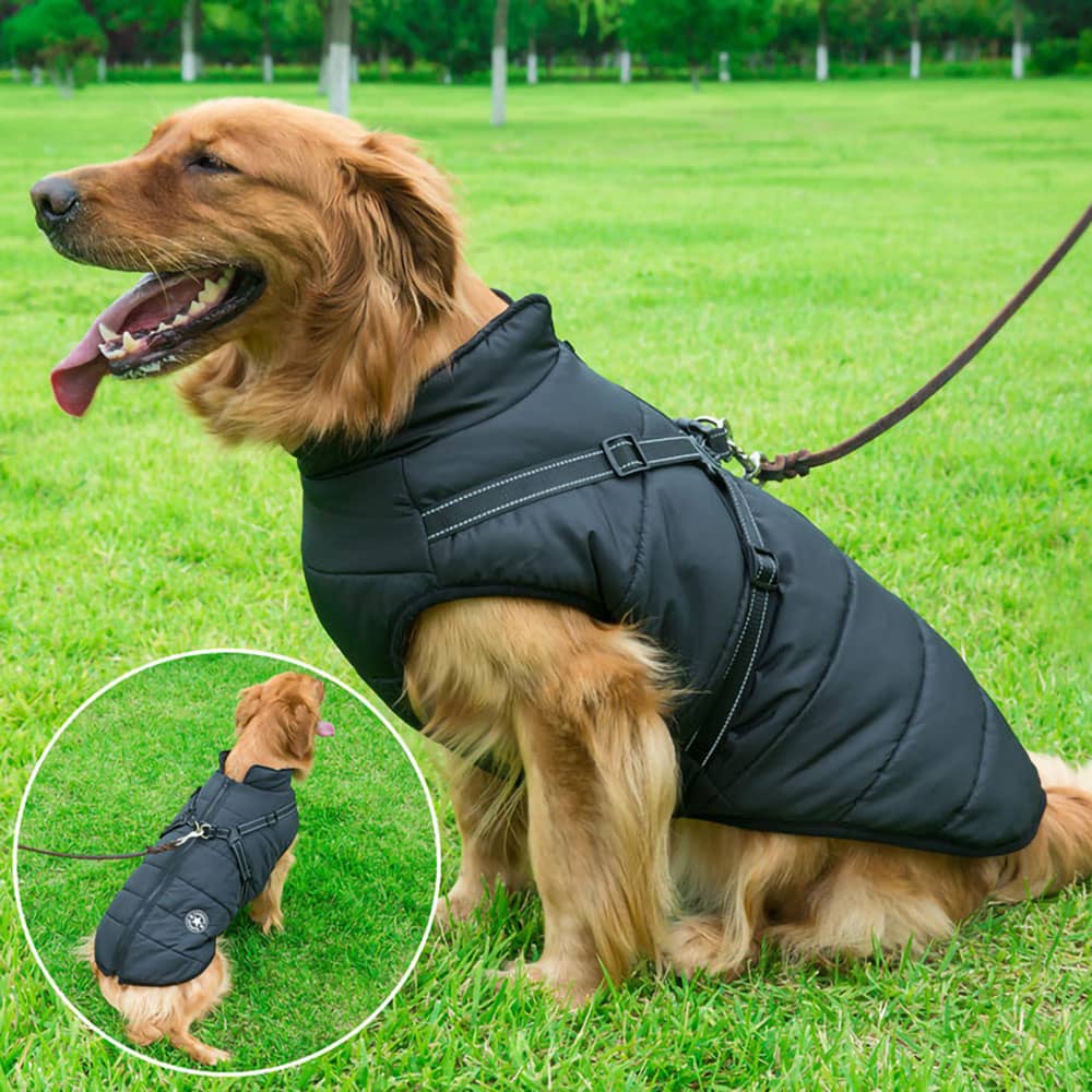 GlamourPup™ Shield Coat