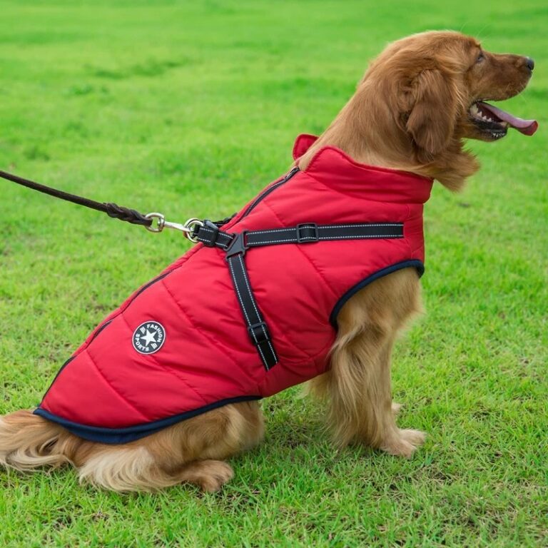 GlamourPup™ Shield Coat